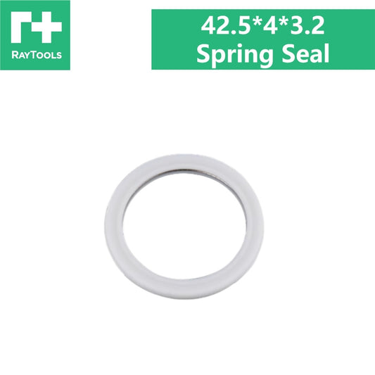 Raytools Spring Seal 42.5*4*3.2